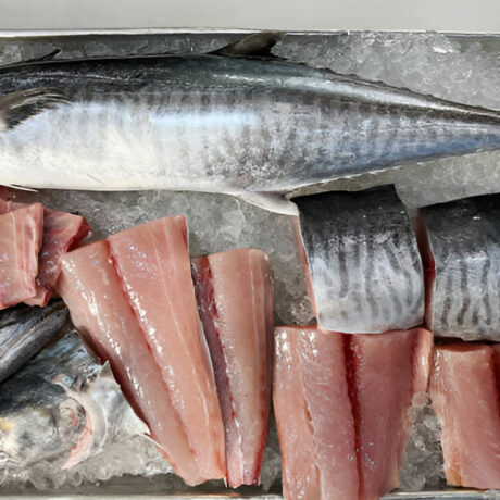 FISH (BATANG)