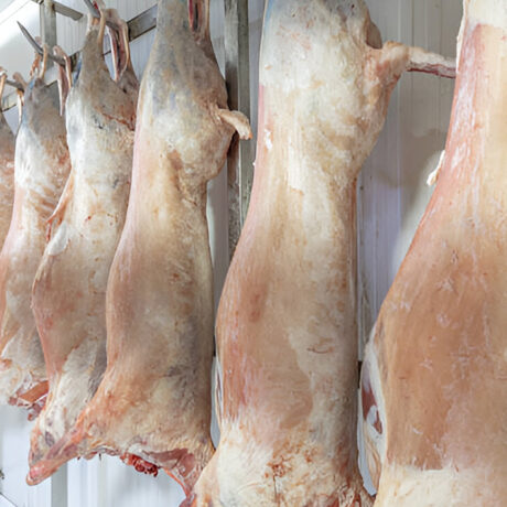 FROZEN LAMB (FRESH) / 1 KG