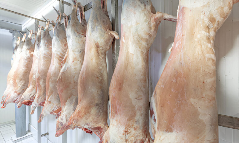 FROZEN LAMB (FRESH) / 1 KG