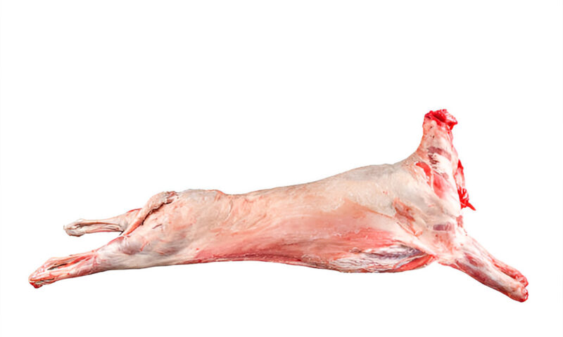 LAMB (FRESH) / 1 KG