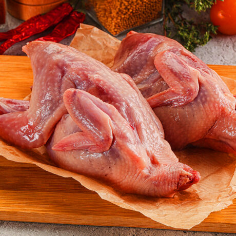 QUAIL BIRD (S)