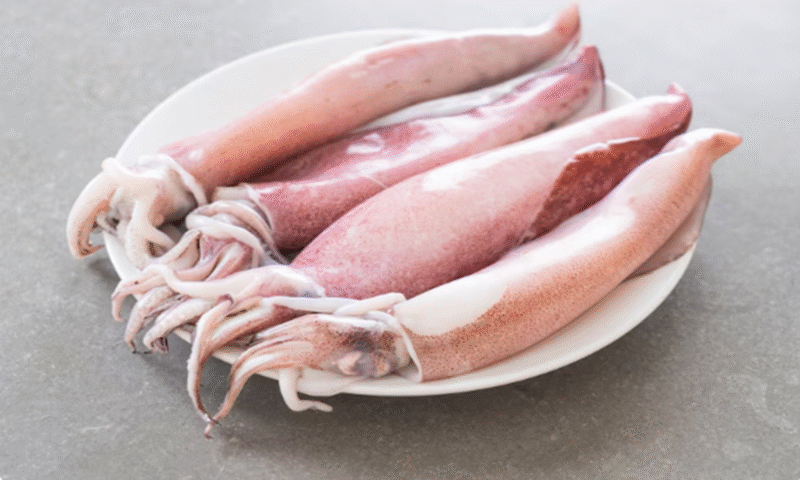 SOTONG (CUTTING)